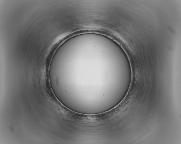 X0000112821315200909041506