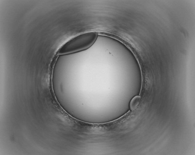 X0000112821316200909041506