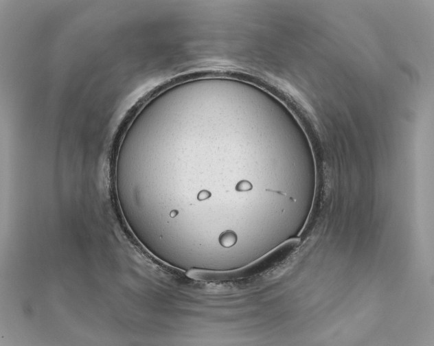 X0000112821318200909041506