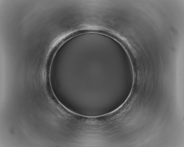 X0000112821319200909041506