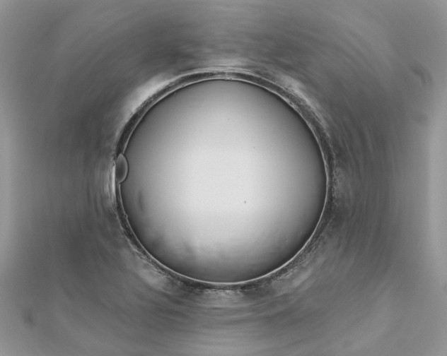 X0000112821320200909041506