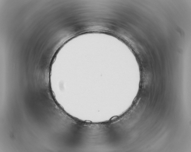 X0000112821322200909041506