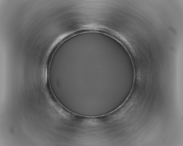 X0000112821323200909041507