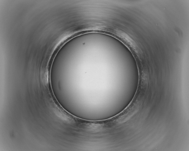 X0000112821324200909041507