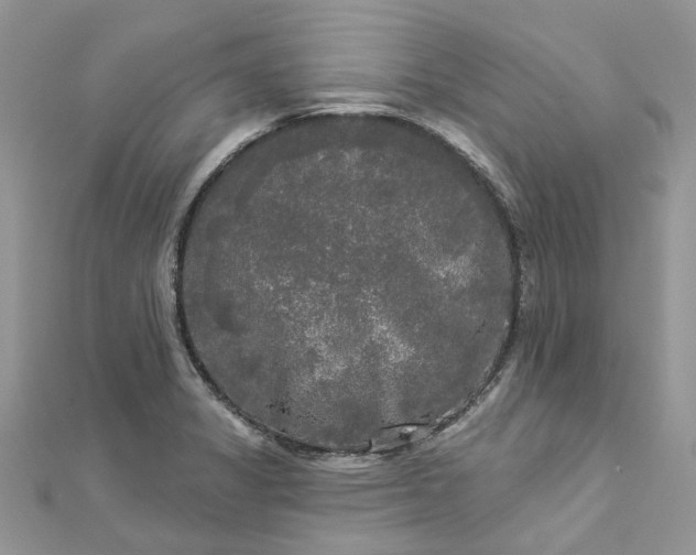 X0000112821325200909041507