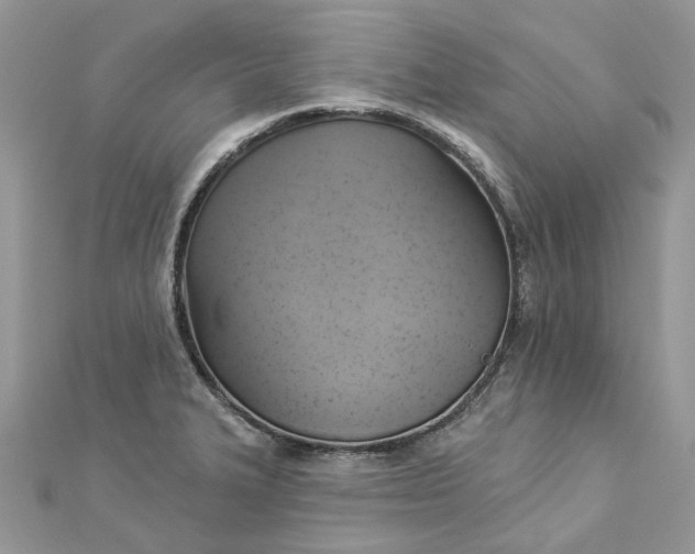 X0000112821327200909041507