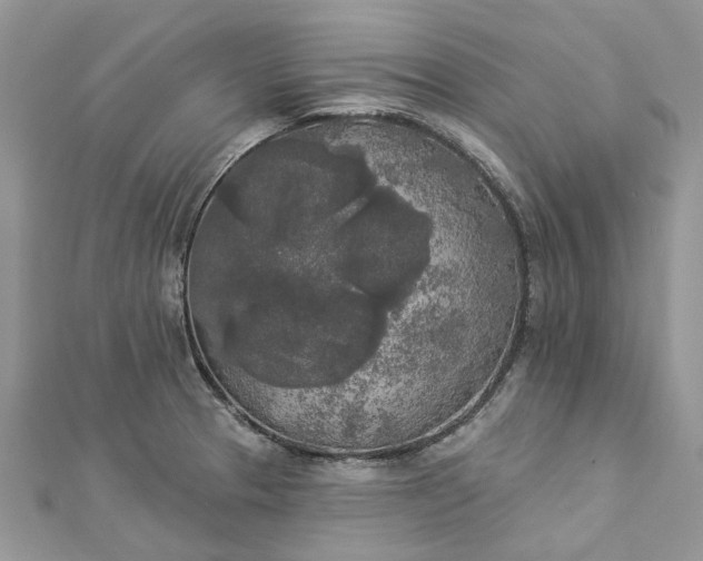 X0000112821329200909041507