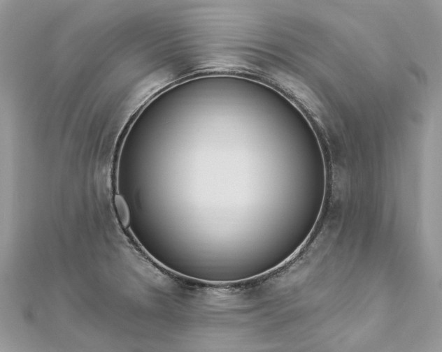 X0000112821330200909041507