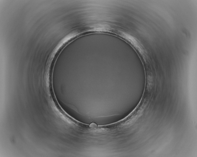 X0000112821331200909041507