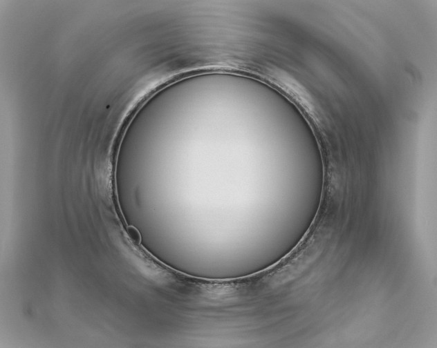 X0000112821332200909041507