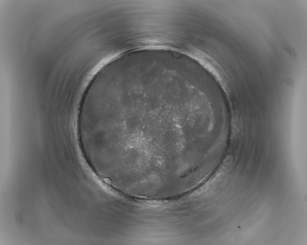 X0000112821333200909041507