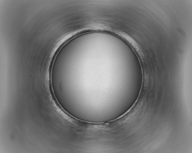 X0000112821335200909041507