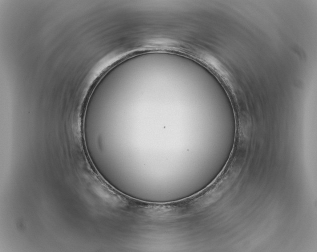 X0000112821336200909041507