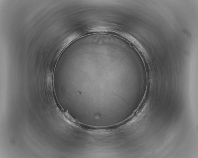 X0000112821337200909041507