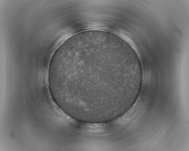 X0000112821338200909041507