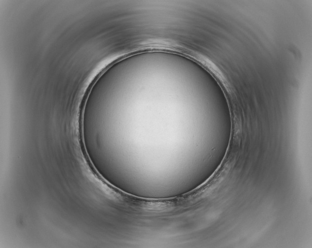 X0000112821339200909041507