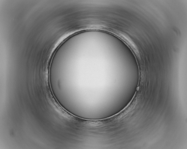 X0000112821340200909041507