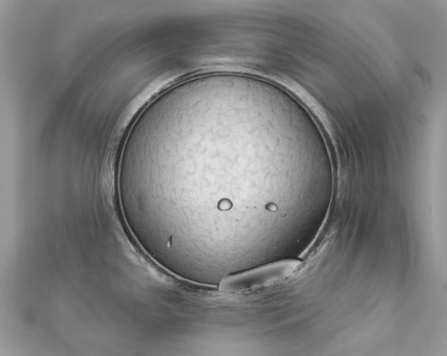 X0000112821341200909041507