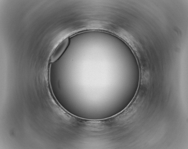 X0000112821342200909041507