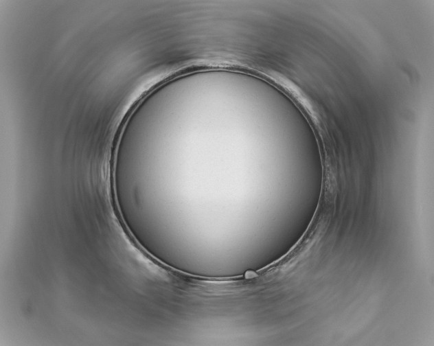 X0000112821343200909041507