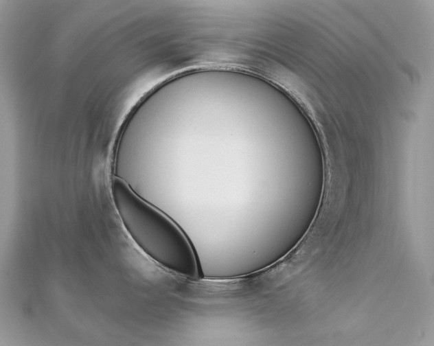 X0000112821344200909041507