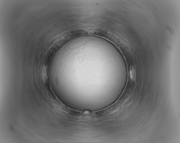 X0000112821347200909041506