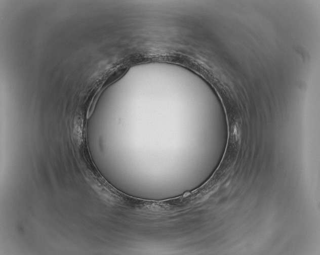 X0000112821348200909041506