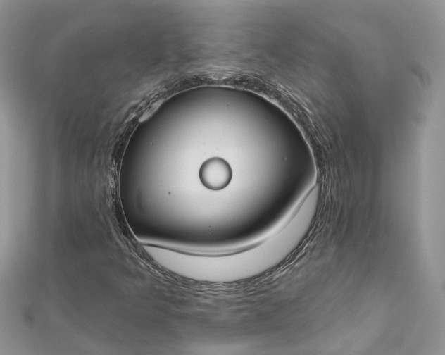 X0000112821349200909041506