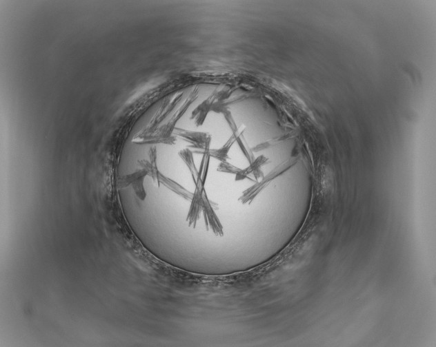 X0000112821350200909041506