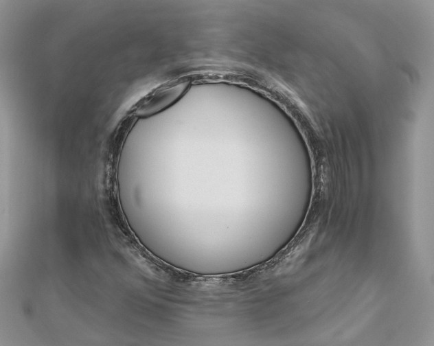 X0000112821352200909041506