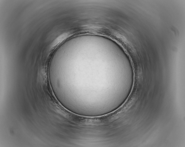 X0000112821354200909041506