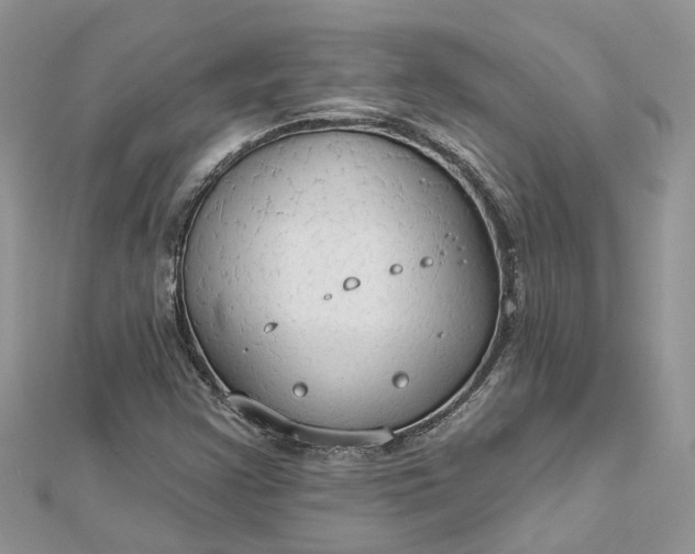 X0000112821355200909041506