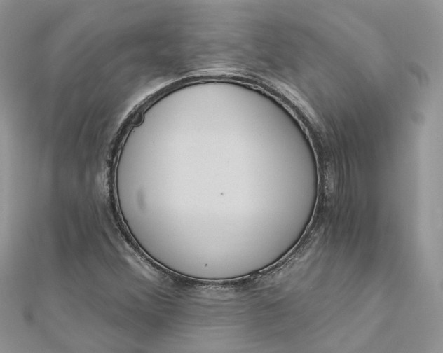 X0000112821356200909041506