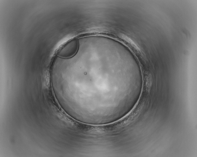 X0000112821358200909041506