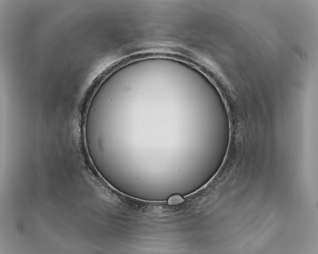 X0000112821360200909041506