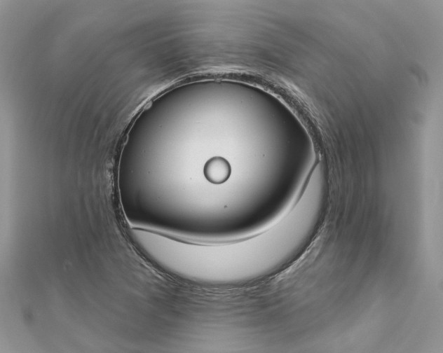 X0000112821361200909041506