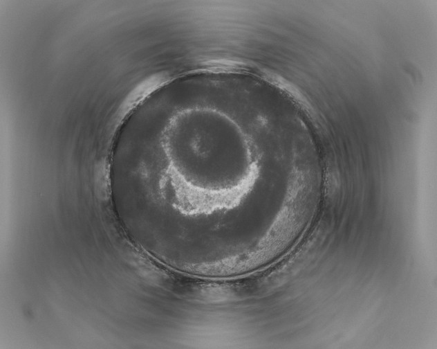 X0000112821362200909041506