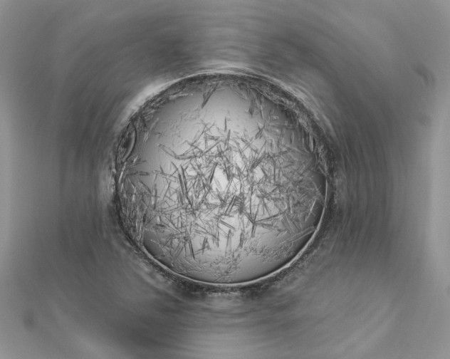 X0000112821363200909041506