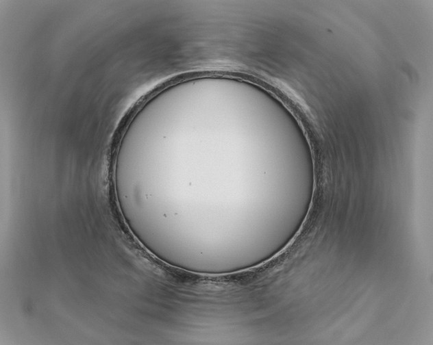 X0000112821364200909041506