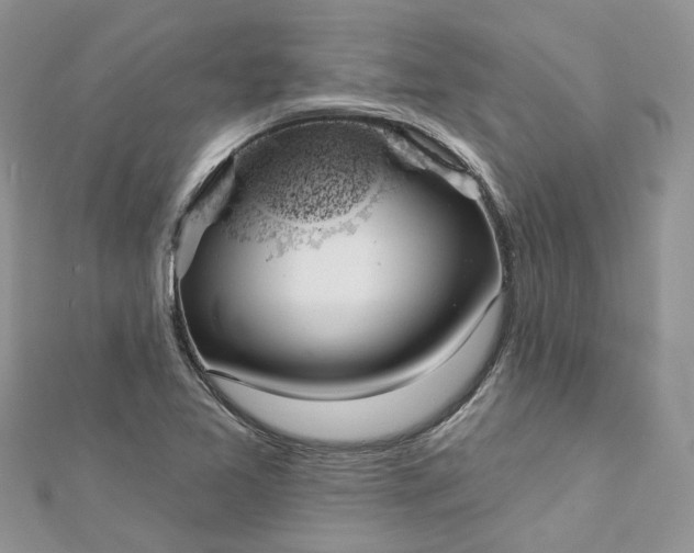 X0000112821365200909041506