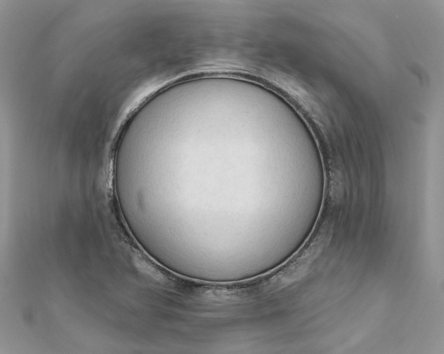 X0000112821366200909041506