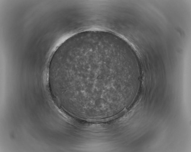 X0000112821367200909041506