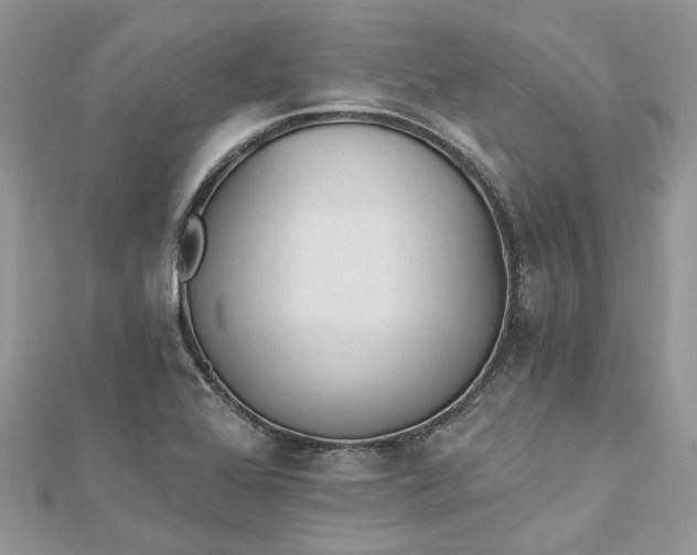 X0000112821368200909041506