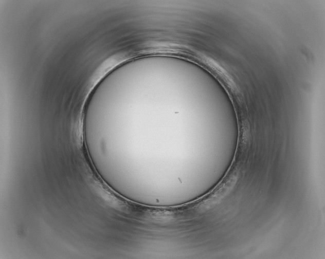 X0000112821370200909041506