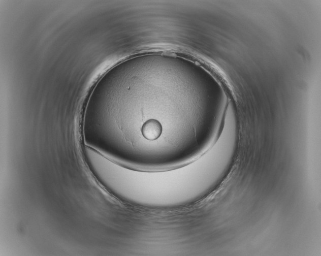 X0000112821373200909041506