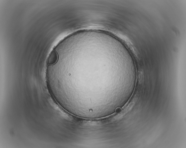 X0000112821374200909041506