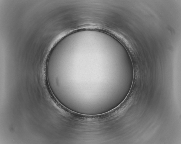 X0000112821375200909041506