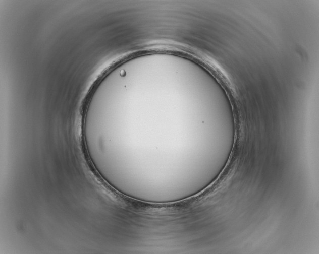 X0000112821376200909041506