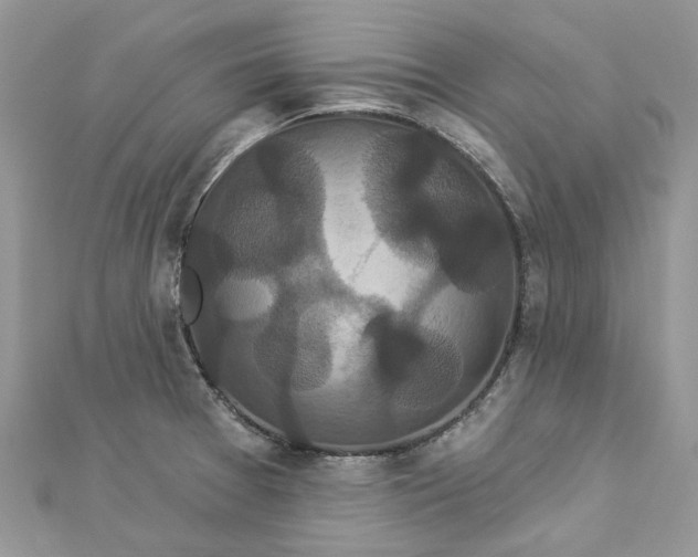 X0000112821377200909041506