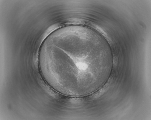 X0000112821378200909041506